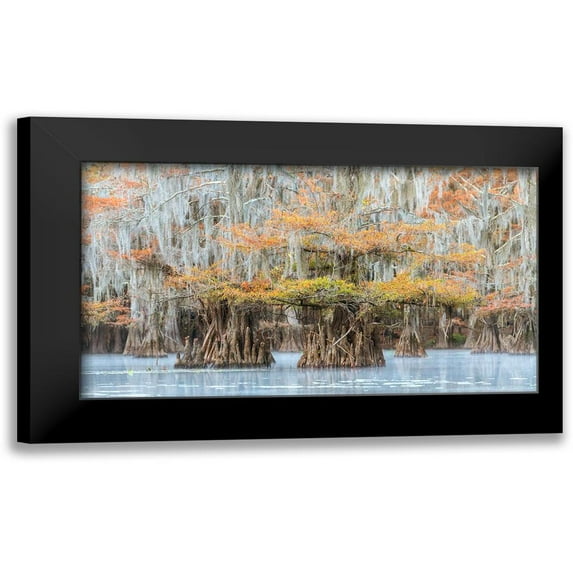 Head, Danny 14x10 Black Modern Framed Museum Art Print Titled - Bayou Colors