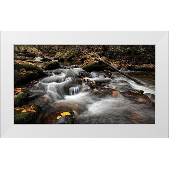 Head, Danny 14x10 White Modern Wood Framed Museum Art Print Titled - Fallen Leaves II