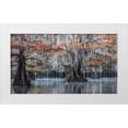 thumbnail image 1 of Head, Danny 14x10 White Modern Wood Framed Museum Art Print Titled - Spanish Moss II, 1 of 4