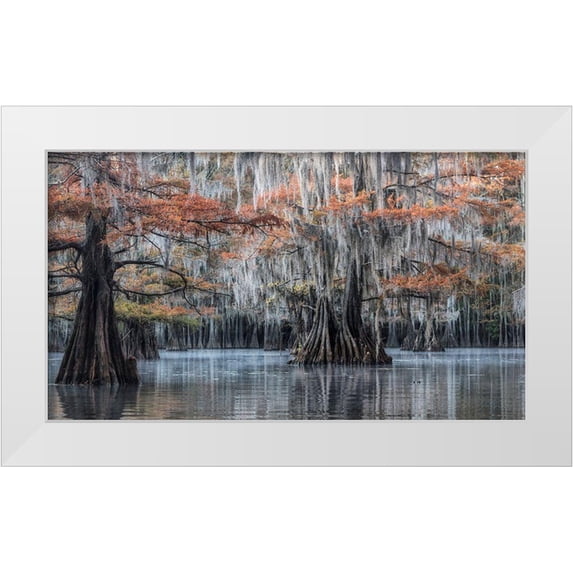Head, Danny 14x10 White Modern Wood Framed Museum Art Print Titled - Spanish Moss II