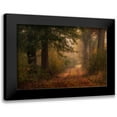 thumbnail image 1 of Head, Danny 14x11 Black Modern Framed Museum Art Print Titled - Autumns Walk III, 1 of 5
