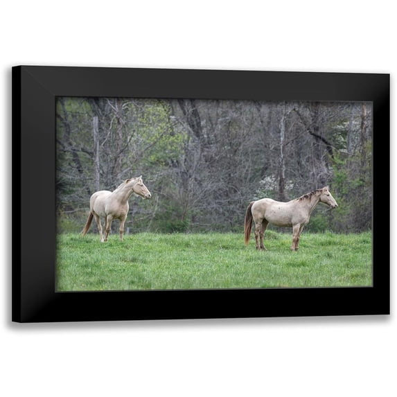 Head, Danny 14x11 Black Modern Framed Museum Art Print Titled - Buddies I