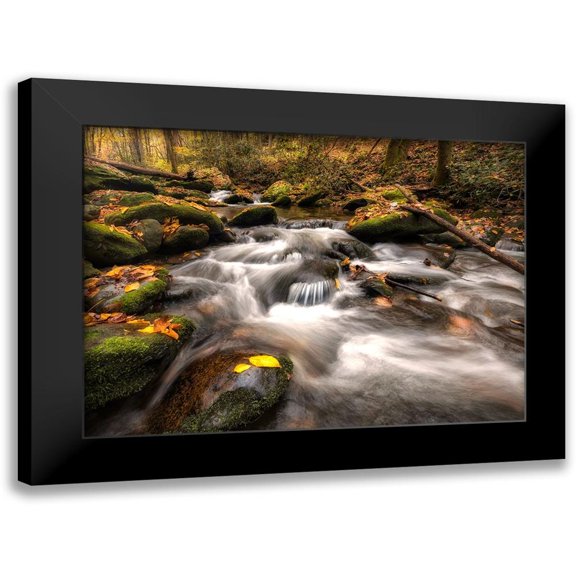 Head, Danny 14x11 Black Modern Framed Museum Art Print Titled - Fallen Leaves