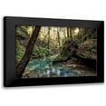 thumbnail image 1 of Head, Danny 14x11 Black Modern Framed Museum Art Print Titled - Filtered Light I, 1 of 5