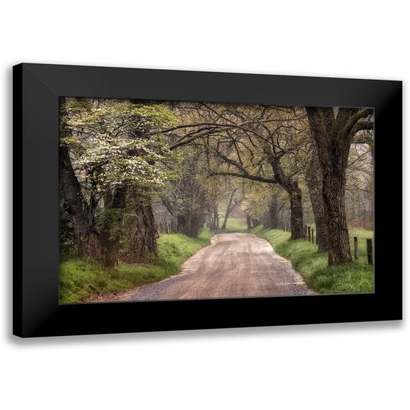 Head, Danny 14x11 Black Modern Framed Museum Art Print Titled - Memory Lane I
