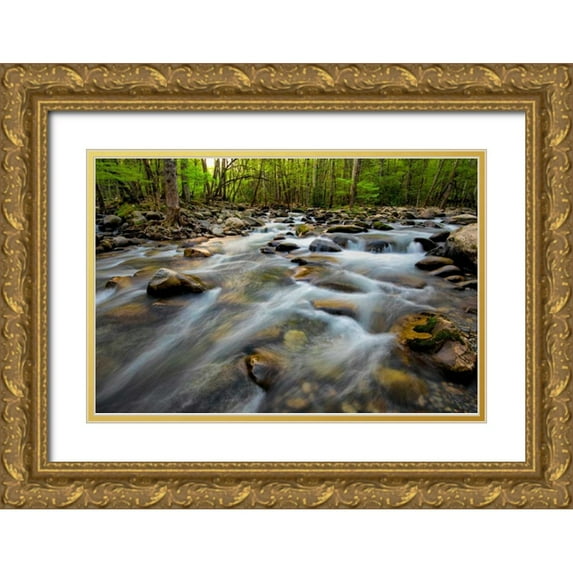 Head, Danny 14x11 Gold Ornate Wood Framed with Double Matting Museum Art Print Titled - Golden Flow