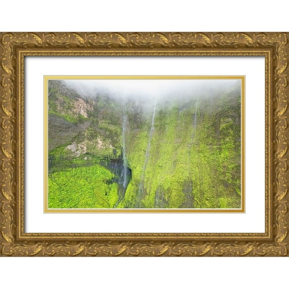 Head, Danny 14x11 Gold Ornate Wood Framed with Double Matting Museum Art Print Titled - Water Ribbons III