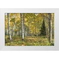 thumbnail image 1 of Head, Danny 14x11 White Modern Wood Framed Museum Art Print Titled - Aspen Grove I, 1 of 4