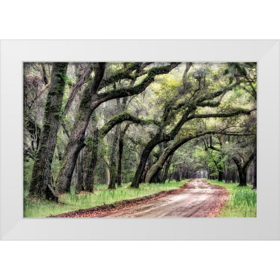 Head, Danny 14x11 White Modern Wood Framed Museum Art Print Titled - Dirt Road II