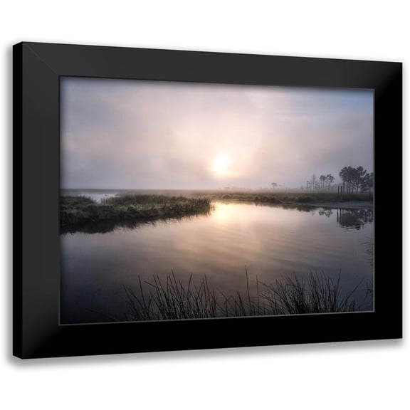 Head, Danny 14x12 Black Modern Framed Museum Art Print Titled - Fog on the Bayou