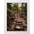thumbnail image 1 of Head, Danny 14x18 White Modern Wood Framed Museum Art Print Titled - Step It Up, 1 of 4