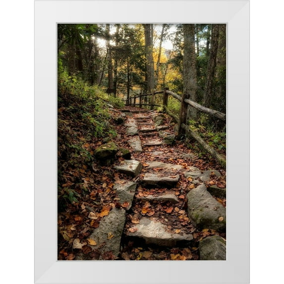 Head, Danny 14x18 White Modern Wood Framed Museum Art Print Titled - Step It Up