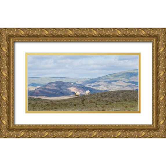 Head, Danny 14x9 Gold Ornate Wood Framed with Double Matting Museum Art Print Titled - HIghland Grazing II