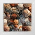 thumbnail image 1 of Head, Danny 15x15 White Modern Wood Framed Museum Art Print Titled - What the Shell, 1 of 4
