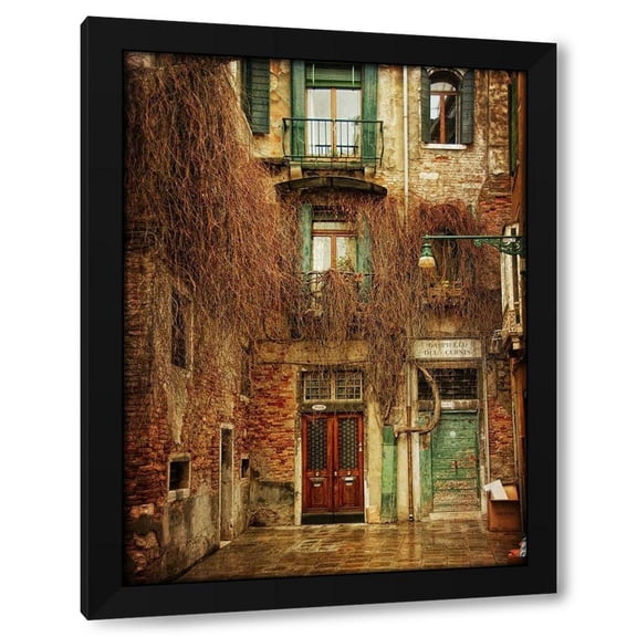 Danny Head 15x18 Black Modern Wood Framed Wall Art Titled - Venice Snapshots IV