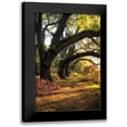 thumbnail image 1 of Head, Danny 17x24 Black Modern Framed Museum Art Print Titled - Under the Live Oaks II, 1 of 5
