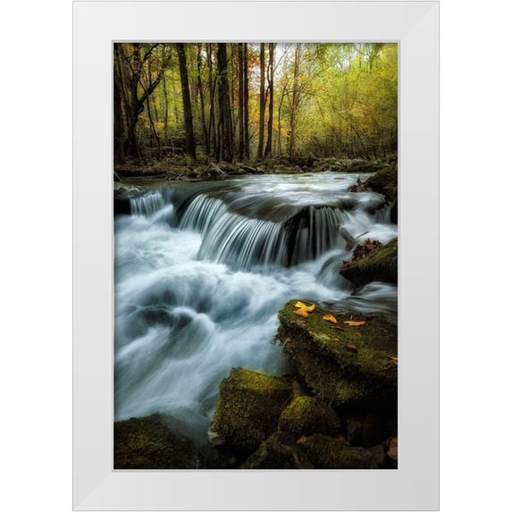 Head, Danny 17x24 White Modern Wood Framed Museum Art Print Titled - Autumn Trio