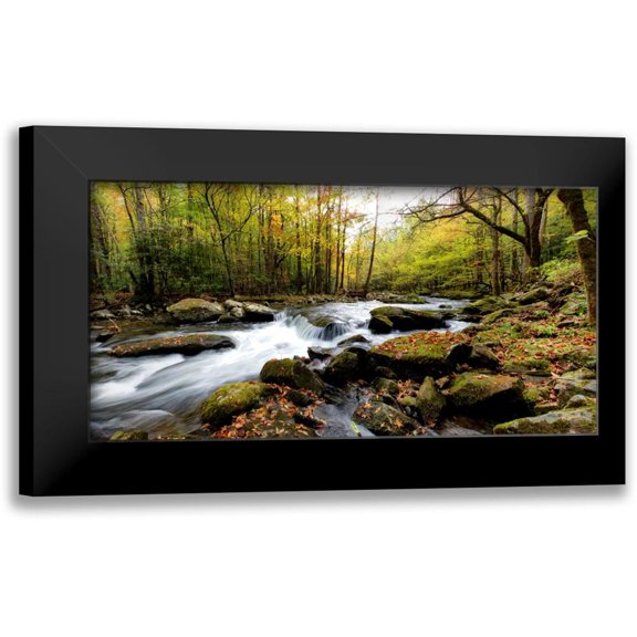 Head, Danny 18x11 Black Modern Framed Museum Art Print Titled - Tremont Panorama II