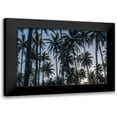 thumbnail image 1 of Head, Danny 18x13 Black Modern Framed Museum Art Print Titled - Palm Grove I, 1 of 5