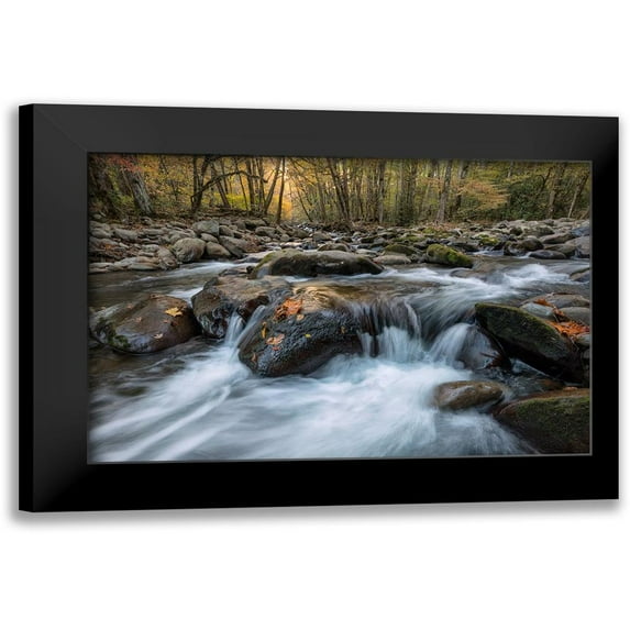 Head, Danny 18x13 Black Modern Framed Museum Art Print Titled - Rust Leaf