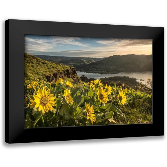 Head, Danny 18x13 Black Modern Framed Museum Art Print Titled - Soaking Up the Sun