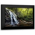 thumbnail image 1 of Head, Danny 18x13 Black Modern Framed Museum Art Print Titled - Spruce Flat Falls at Morning, 1 of 5