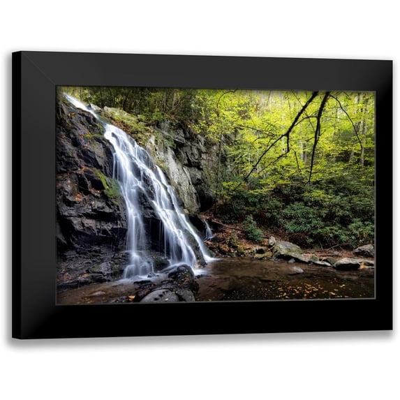 Head, Danny 18x13 Black Modern Framed Museum Art Print Titled - Spruce Flat Falls at Morning