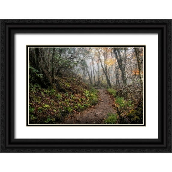 Head, Danny 18x13 Black Ornate Wood Framed with Double Matting Museum Art Print Titled - Long Walk