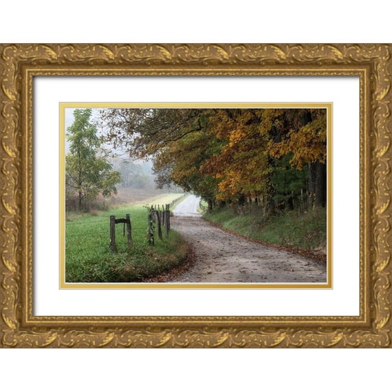 Head, Danny 18x13 Gold Ornate Wood Framed with Double Matting Museum Art Print Titled - Cove Lane III