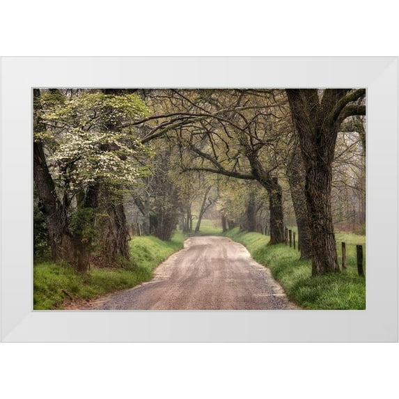 Head, Danny 18x13 White Modern Wood Framed Museum Art Print Titled - Memory Lane I