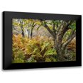 thumbnail image 1 of Head, Danny 18x14 Black Modern Framed Museum Art Print Titled - Autumn Fern, 1 of 5