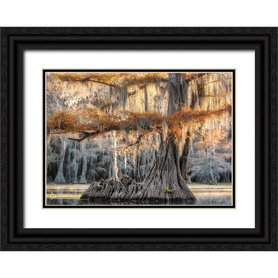 Head, Danny 18x14 Black Ornate Wood Framed with Double Matting Museum Art Print Titled - Cypress Magic