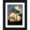 thumbnail image 1 of Head, Danny 18x24 Black Ornate Wood Framed with Double Matting Museum Art Print Titled - Palm Silouette I, 1 of 4