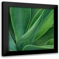 thumbnail image 1 of Head, Danny 20x20 Black Modern Framed Museum Art Print Titled - Tropical Macro II, 1 of 5