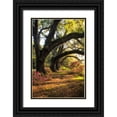 thumbnail image 1 of Head, Danny 23x32 Black Ornate Wood Framed with Double Matting Museum Art Print Titled - Under the Live Oaks II, 1 of 4