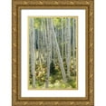 thumbnail image 1 of Head, Danny 23x32 Gold Ornate Wood Framed with Double Matting Museum Art Print Titled - Aspen Trunks IV, 1 of 4