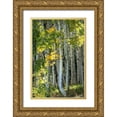 thumbnail image 1 of Head, Danny 23x32 Gold Ornate Wood Framed with Double Matting Museum Art Print Titled - Aspen Trunks VI, 1 of 4