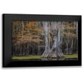 thumbnail image 1 of Head, Danny 24x17 Black Modern Framed Museum Art Print Titled - Cypress Trail, 1 of 5