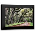 thumbnail image 1 of Head, Danny 24x17 Black Modern Framed Museum Art Print Titled - Dirt Road II, 1 of 5