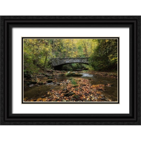 Head, Danny 24x17 Black Ornate Wood Framed with Double Matting Museum Art Print Titled - Arched Bridge