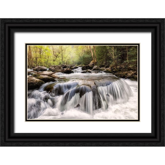 Head, Danny 24x17 Black Ornate Wood Framed with Double Matting Museum Art Print Titled - Mushroom Rock