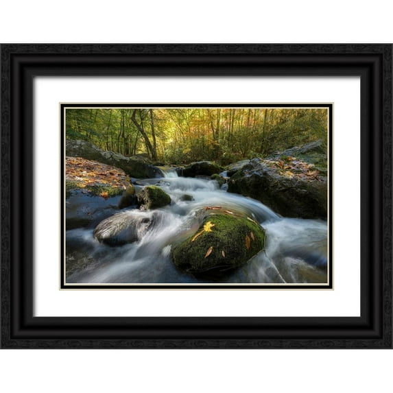 Head, Danny 24x17 Black Ornate Wood Framed with Double Matting Museum Art Print Titled - Yellow Leaf