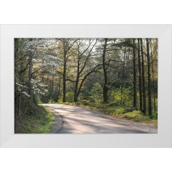 Head, Danny 24x17 White Modern Wood Framed Museum Art Print Titled - Around the Bend