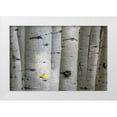 thumbnail image 1 of Head, Danny 24x17 White Modern Wood Framed Museum Art Print Titled - Stuck On You Too, 1 of 4