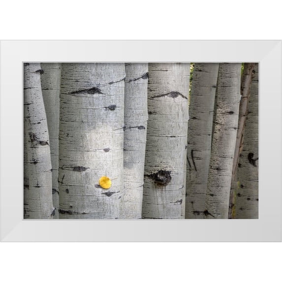 Head, Danny 24x17 White Modern Wood Framed Museum Art Print Titled - Stuck On You Too