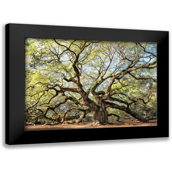 Head, Danny 24x18 Black Modern Framed Museum Art Print Titled - Angel Oak