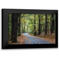 thumbnail image 1 of Head, Danny 24x18 Black Modern Framed Museum Art Print Titled - Country Drive, 1 of 5