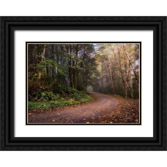Head, Danny 24x18 Black Ornate Wood Framed with Double Matting Museum Art Print Titled - Mountain Road
