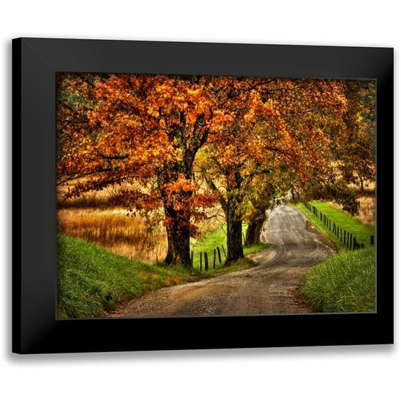 Head, Danny 24x19 Black Modern Framed Museum Art Print Titled - Rainy Morning on Hyatt Lane