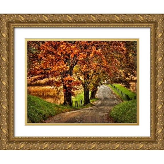 Head, Danny 24x19 Gold Ornate Wood Framed with Double Matting Museum Art Print Titled - Rainy Morning on Hyatt Lane